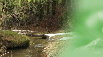 Early Spring Stream Wallpaper Desktop