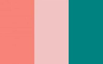 Tea Rose Orange And Teal Three Color Background