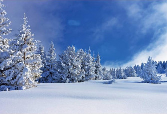 Amazon Baocicco Winter Snow Covered Landscape Backdrop