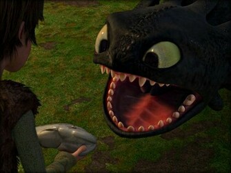 Toothless The Dragon Wallpaper