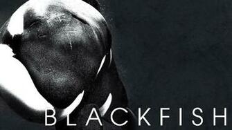 Tim Zimmermann Co Author Producer Of Blackfish Uvm Bored