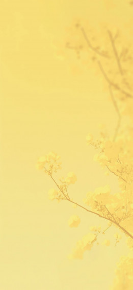 Yellow Blossom Tree Aesthetic Wallpaper Cool
