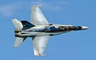 Hornet Fighter Jet Photo Photosjunction