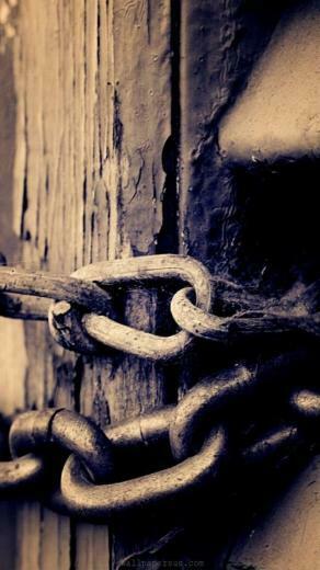 Wallpaper Collection For iPhone Skins And Covers Ipod