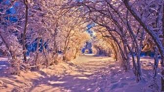 Nature Landscapes Winter Snow Christmas Sidewalk Roads Lights