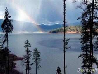 Peaceful Nature Slideshow Screensaver
