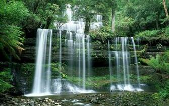 Nature Wallpaper Pack Cute Girls Celebrity