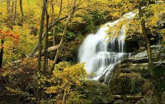Autumn Forest Waterfall Wallpaper