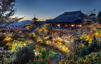 Wallpaper Forest House Japan The Evening Sakura Kyoto