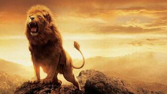 Lion Of Judah Wallpaper