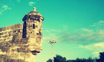 Category Nature HD Wallpaper Subcategory Vintage