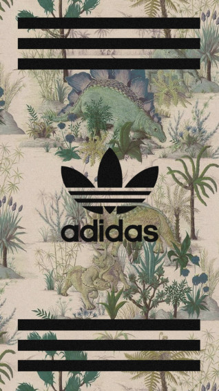 Top Best Aesthetic Adidas Wallpaper Hq