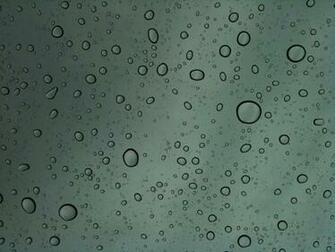 Water Drop Wallpaper