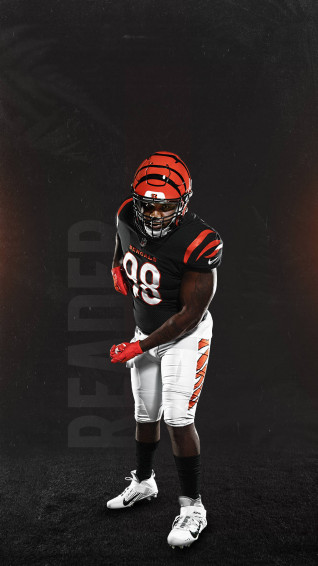 Cincinnati Bengals Background Wallpaper