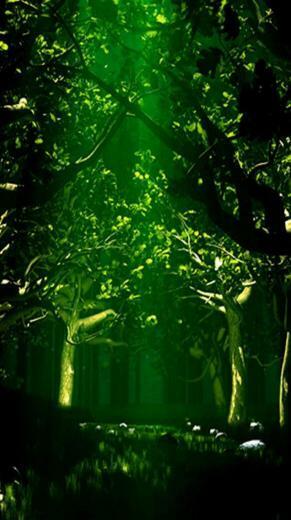 Dark Forest iPhone Wallpaper Green