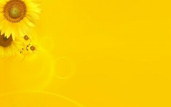 Cool Yellow Background Wallpaper