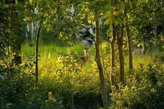 A Weekend Trip From Kolkata To Sundarbans Erlebnisse