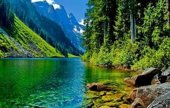 Wallpaper And Screensavers Nature Android To