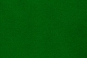 Green Colour Background Wallpaper
