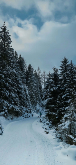 Snow iPhone Wallpaper