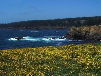 Northern California Beach Background Wallpaper By Design