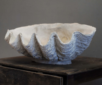 Clam Shell Beauty Wallpaper