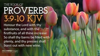 King James Version Bible Scriptures Verses Wallpaper Read The