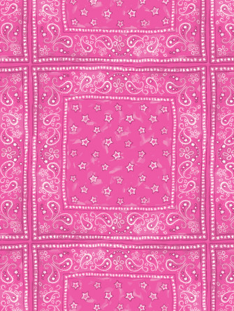 Barbie Bandana Check Wallpaper By Pink