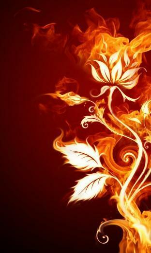 Wvga Fire Wallpaper Screensaver Pre Id