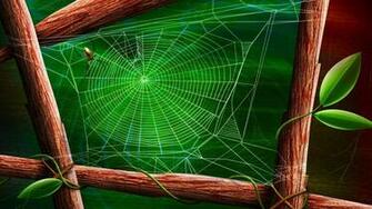 Spider Web Wallpaper