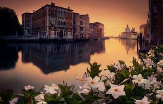 Wallpaper Flowers The City Venecia Image For Desktop Section