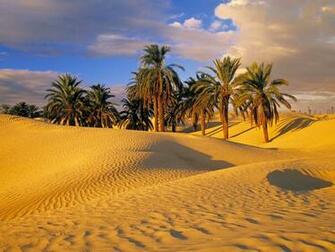 Desert Oasis Wallpaper Nature Desktop