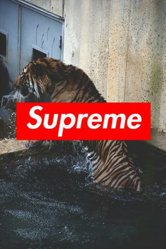 Supreme iPhone Wallpaper