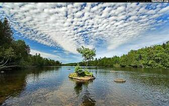 Trout Stream Wallpaper