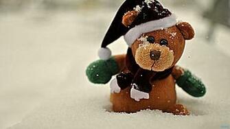 Cute Teddy Bear Wallpaper My