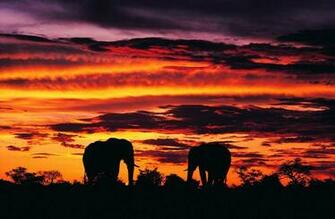 Africa Wallpaper HD World S Greatest Art Site