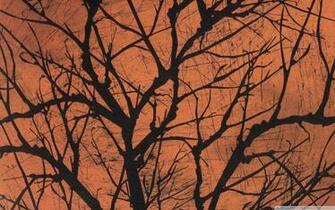 Halloween Creepy Tree 4k HD Desktop Wallpaper For Ultra
