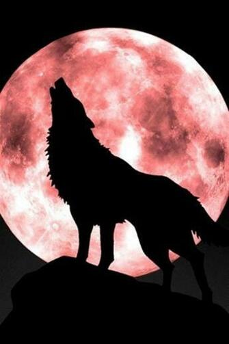 Full Moon HD iPhone Wallpaper S 3g