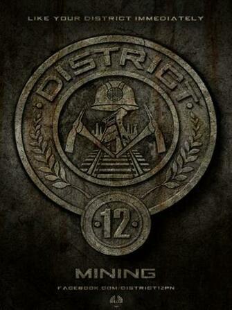 Hunger Games iPad Wallpaper HD Desktop