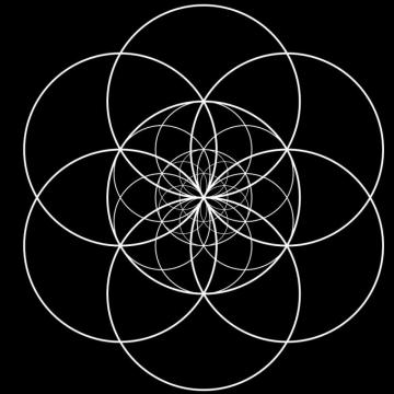 Seed Of Life Transcendental By Johnnet