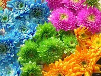 Beautiful Phool Wallpaper X