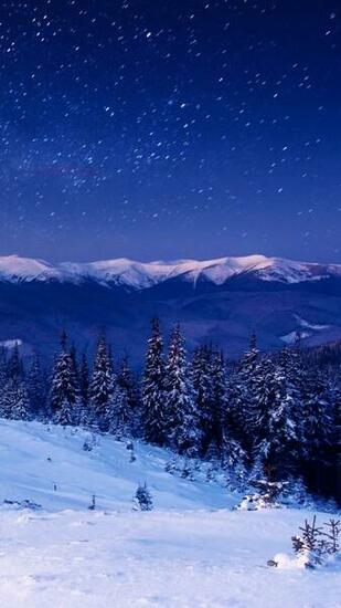 Star Forest Night Home Mountains Trees iPhone Plus Wallpaper