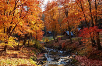 Autumn Wallpaper