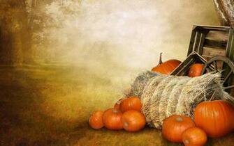 Pumpkin Wallpaper