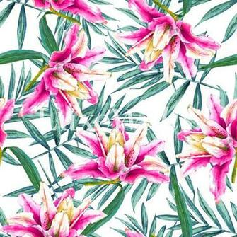 Botanical Wallpaper Luxe Walls