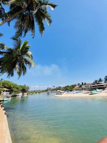 People On Beach During Daytime Photo Baga Image