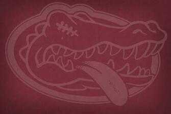Fsu Background Floridastate 247sports Board