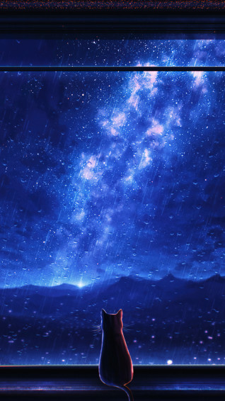 Stargazing Cat Starry Stars Night Sky Anime Art HD