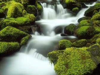 Full Screen Wallpaper Desktop