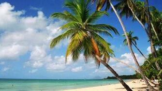 Martinique Beach HD Wallpaper Nature